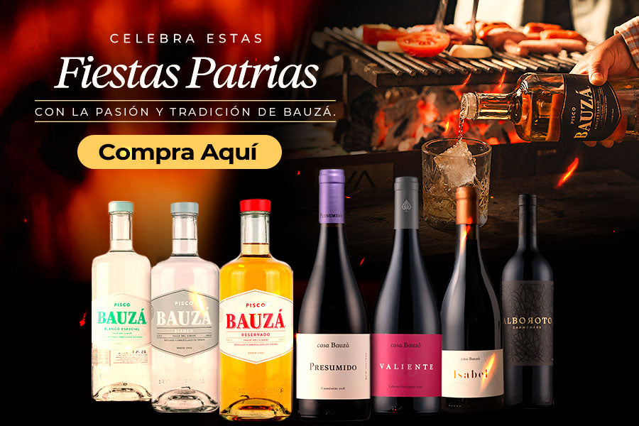 Bauza Chile
