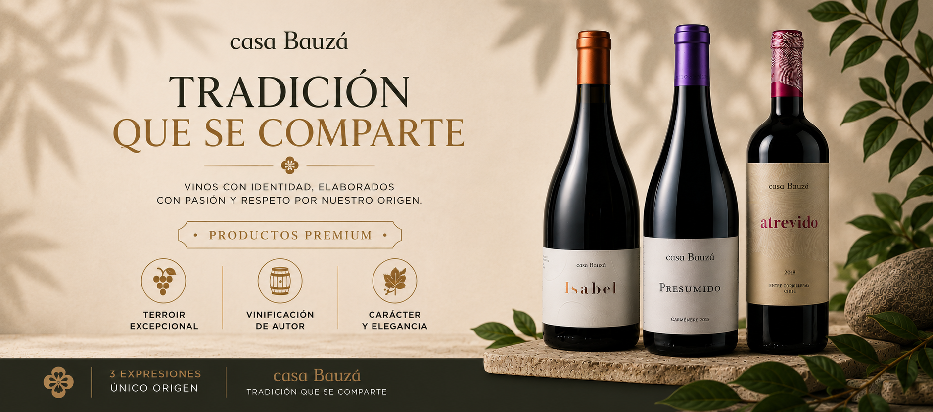 Bauza Chile