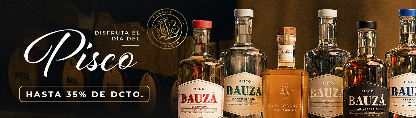 Bauza Chile