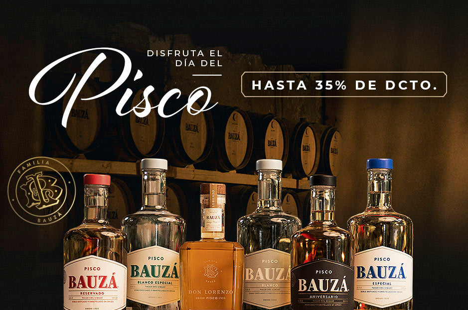 Bauza Chile